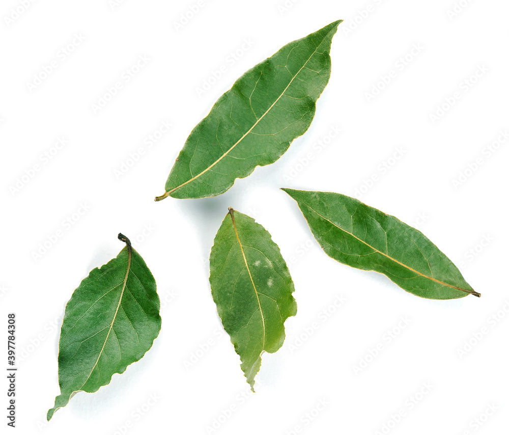 Aromatic bay leaves isolated on white background cutout Aromatic bay leaves isolated on white background cutout