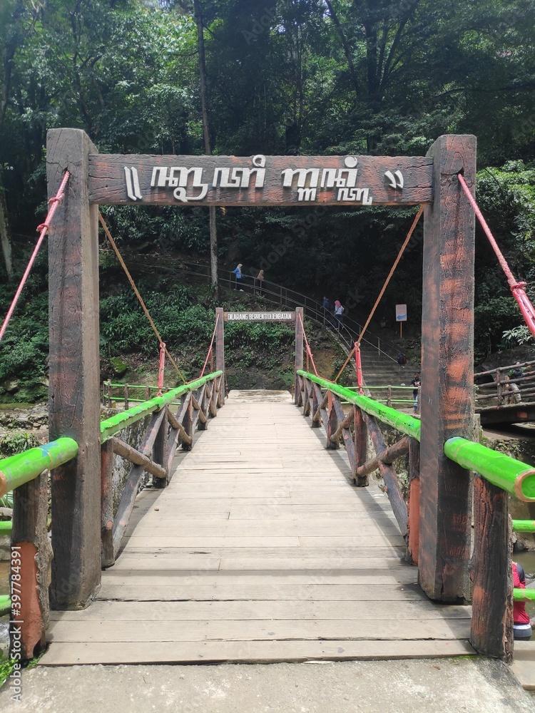 wooden bridge in the middle forest in the morning