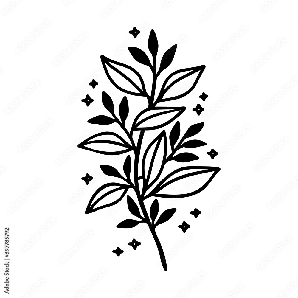 Hand drawn floral & botanical leaf branch illustration. Black line art vector feminine logo. Symbol and icon for wedding, business card, cosmetics, jewel, brand, and beauty products