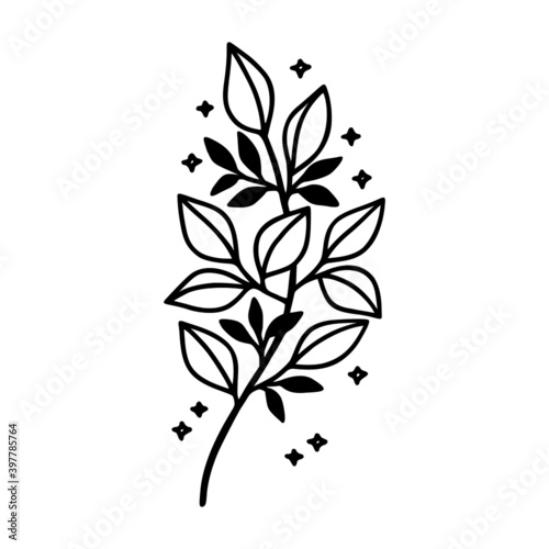 Fototapeta Naklejka Na Ścianę i Meble -  Hand drawn floral & botanical leaf branch illustration. Black line art vector feminine logo. Symbol and icon for wedding, business card, cosmetics, jewel, brand, and beauty products