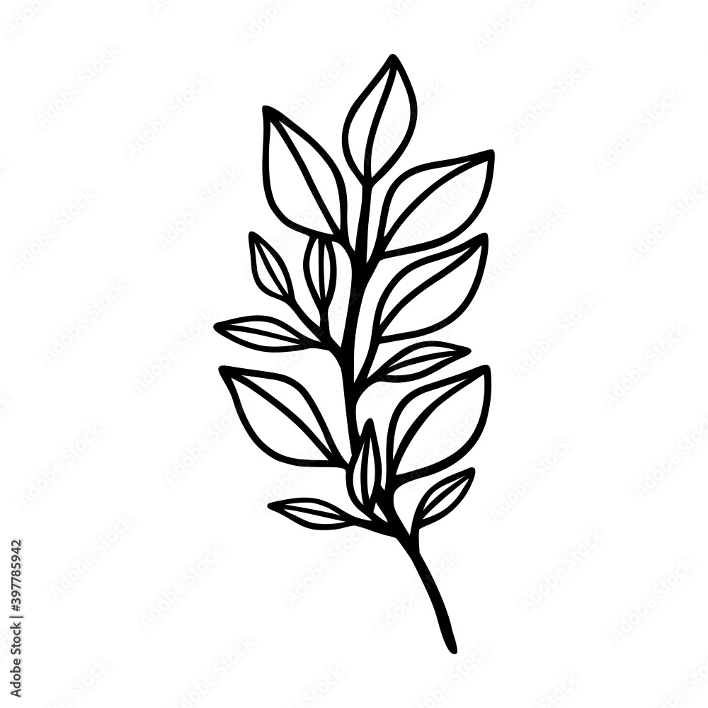 Fototapeta premium Hand drawn floral & botanical leaf branch illustration. Black line art vector feminine logo. Symbol and icon for wedding, business card, cosmetics, jewel, brand, and beauty products