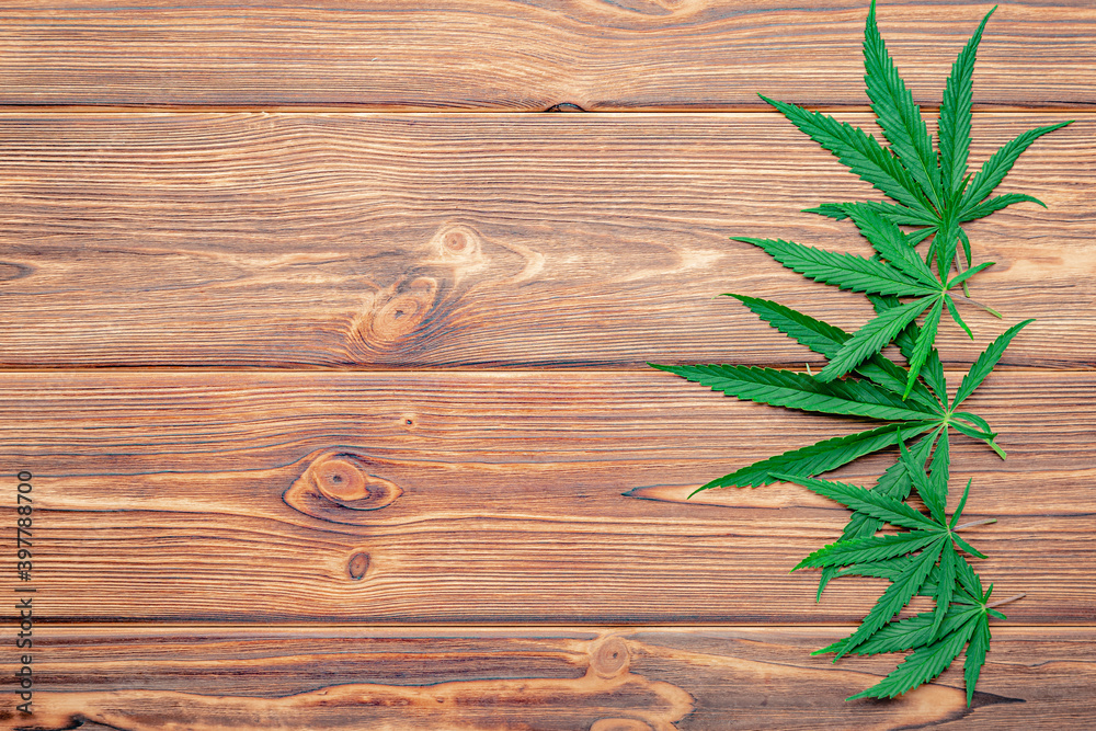 Cannabis leaf Weed ganja green hemp leaves on dark brown wooden background with copy space. Medical marijuana plant Cannabis Sativa. Weed legalize smoking drug concept. Cannabis leaf Weed ganja green hemp leaves on dark brown wooden background with copy space. Medical marijuana plant Cannabis Sativa. Weed legalize smoking drug concept.