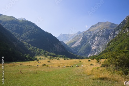 A grassland with plants and trees in the valley of Sibillini mountains (Marche, Italy, Europe)