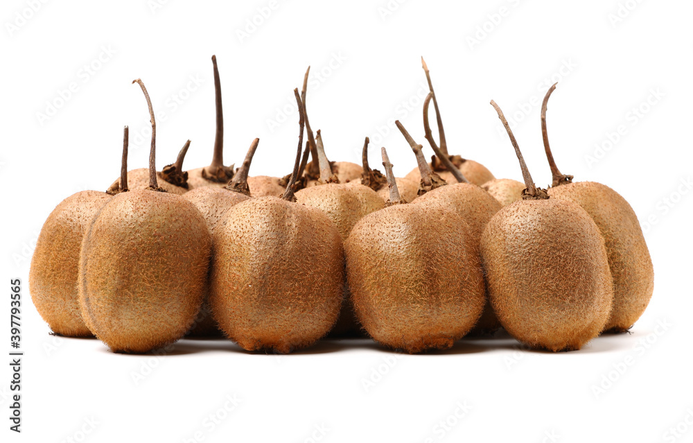 kiwi fruit on white background kiwi fruit on white background