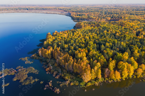 Aerial top view of beautiful lake surrounded by colorful forest in autumn