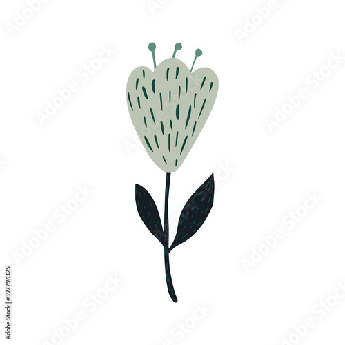 Flower isolated on white background. Abstract scandinavian botanical sketch.