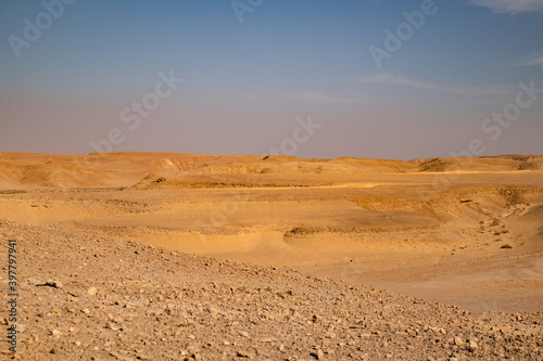 Negev desert sand dunes