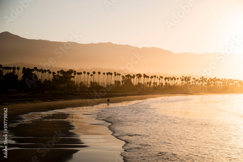 sunrise glow on the palm tree beach of santa barbara california 