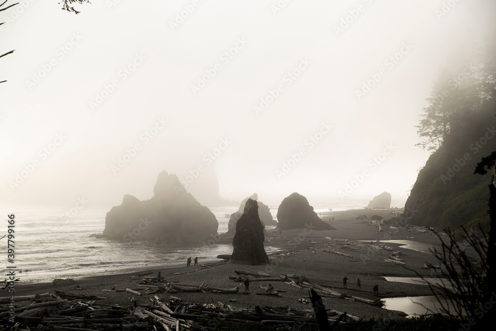 misty morning landscape of ruby beach olympic national park