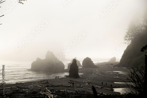misty morning landscape of ruby beach olympic national park photo
