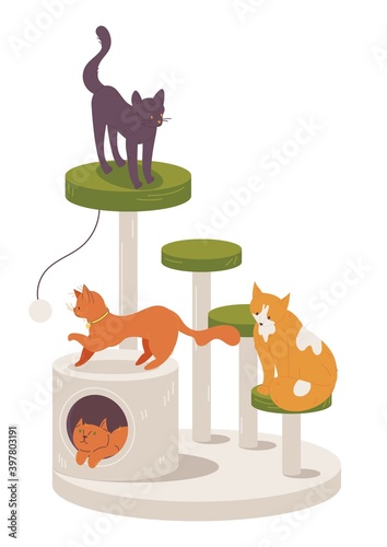 Various cat playing on scratching post isolated on white background. Vector lovely domestic kitten characters