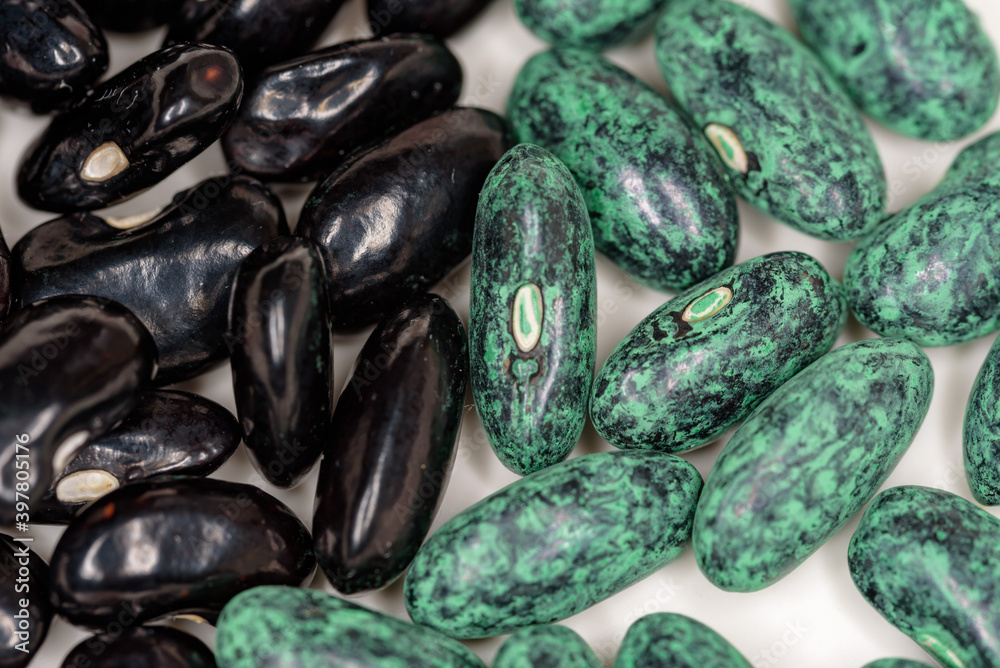Green bean seeds, natural ones and chemical coated seeds Green bean seeds, natural ones and chemical coated seeds