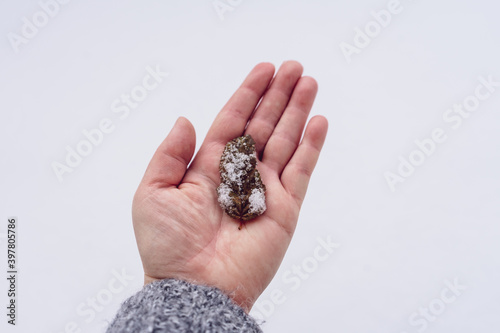 Frau hält gefrorenes Blatt auf einer Handfläche im Schnee. Draufsicht, Winter, Kälte.