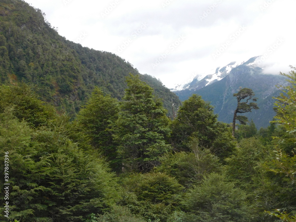 carretera austral