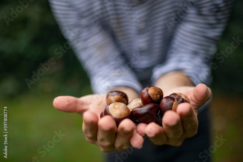 Photos Unrecognizable man standing outdoors, holding conkers in hands.