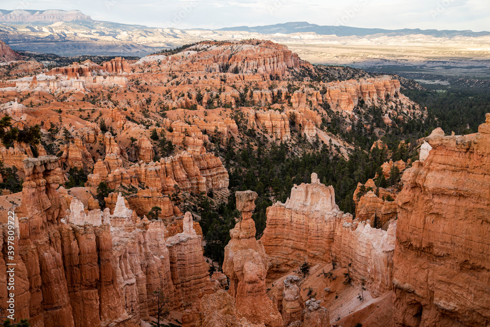 red towering hoodoos in Bryce Canyon National Park