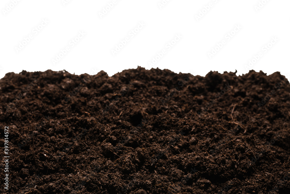 Black land for plant. Black land for plant.