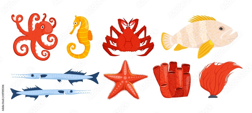 Underwater life collection Underwater life collection