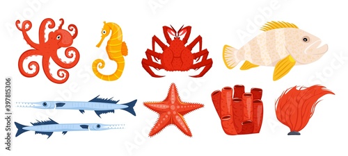 Underwater life collection