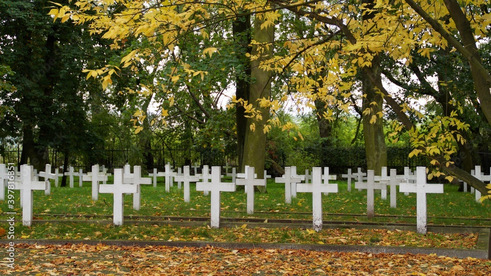 garrison cemetery in Plock, Poland in autumn