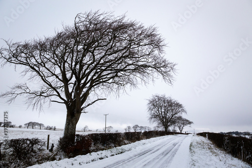 first snow fall in Auchinleck scotland photo