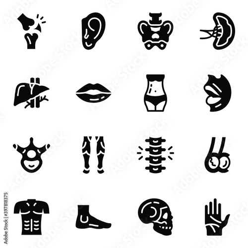 
Body Organs Solid Icons Pack 
