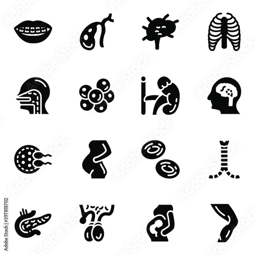 
Tissues and Organs Solid Icons Pack 
