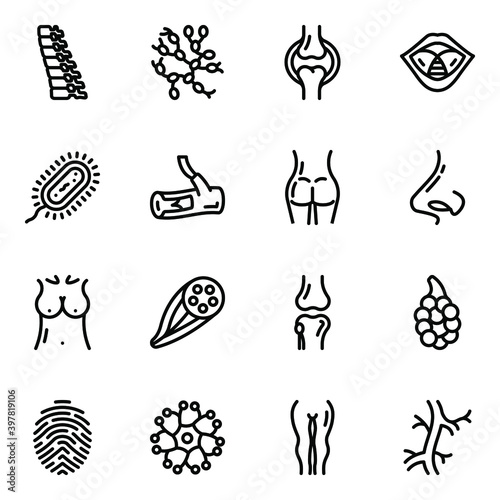 
Internal Organs Solid Icons Pack 
