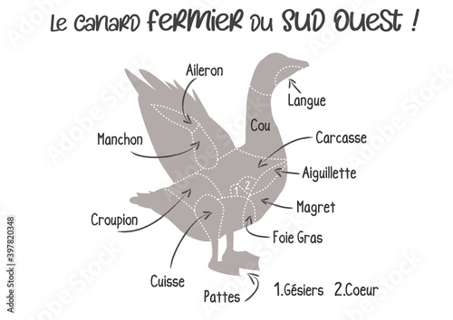 Canard pièces de viande, canard gras origine Sud Ouest, schéma découpe du canard en français, illustration, croquis