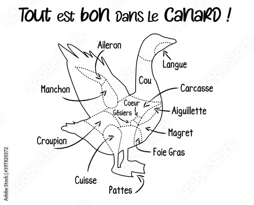 Canard pièces de viande, canard gras origine Sud Ouest, schéma découpe du canard en français, illustration, croquis, France