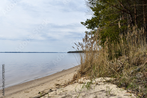 summer coast of the Volga River