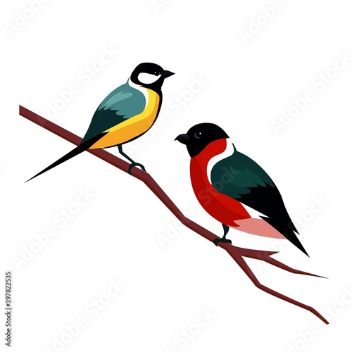 Beautifu vector illustration with winter birds, bullfinch and tit sitting on a branch. Cartoon style vector illustration