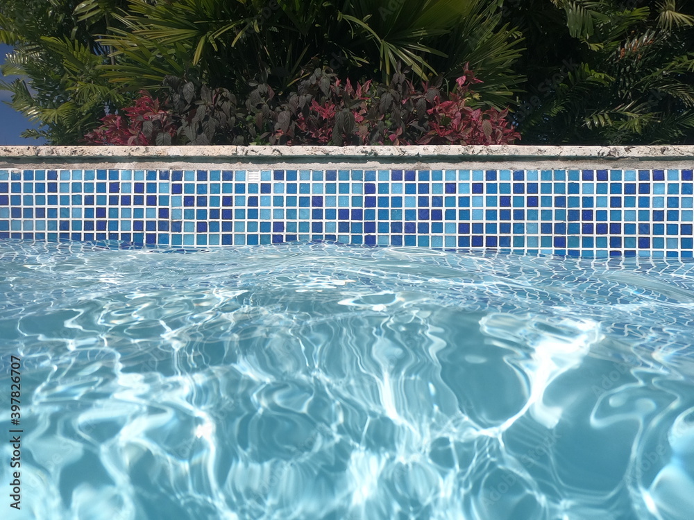 swimming pool with blue squares border and green background