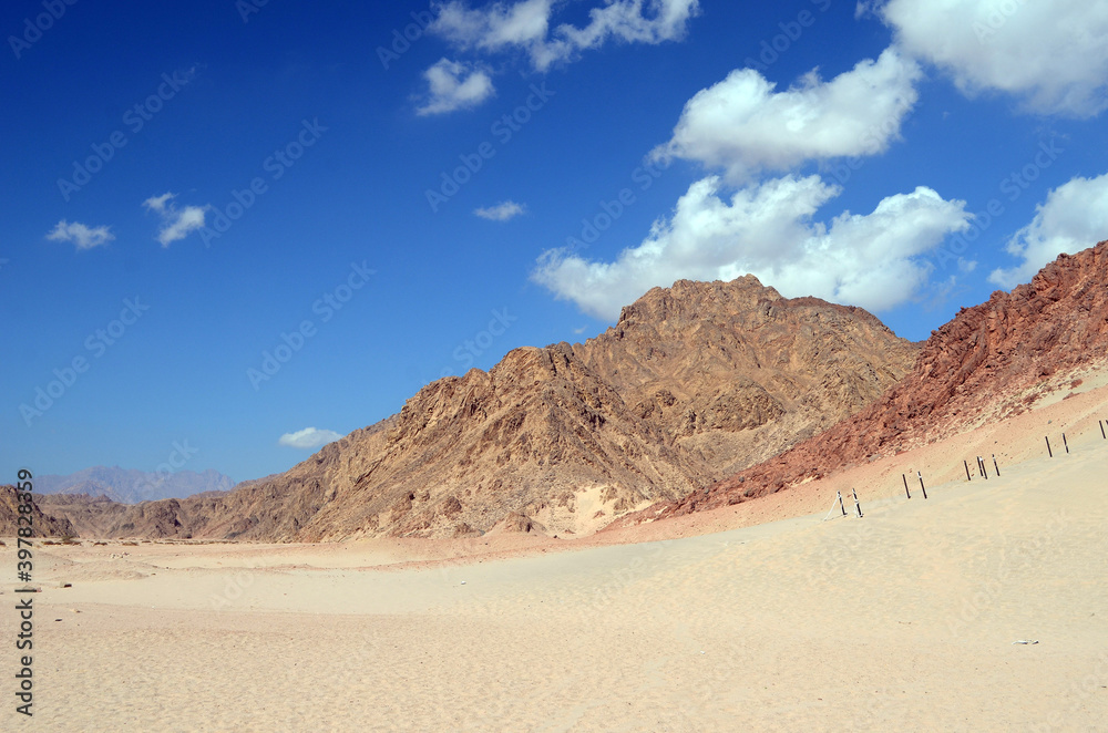 Desert of Sinai Peninsula, Egypt. Near Sharm El Sheikh Desert of Sinai Peninsula, Egypt. Near Sharm El Sheikh