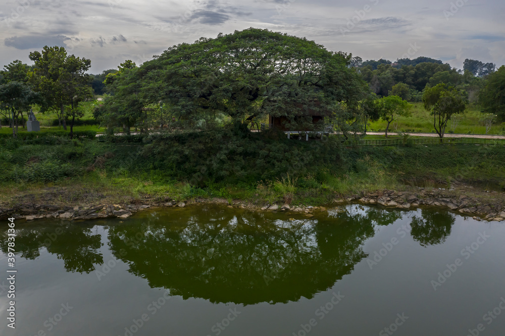 Peaceful scene of Beautiful tree and reflection by a lake in Dong Nai Province, Vietnam Peaceful scene of Beautiful tree and reflection by a lake in Dong Nai Province, Vietnam