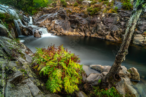 Waterfall in the forest.
Caldeiras do Castro, A Coruña, Spain. photo