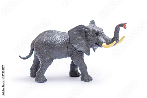 Plastic model of elephant. Elephant toy isolated on white. © Savvapanf Photo ©