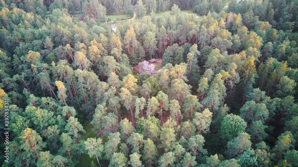 Reconstructed Wooden Castle of Semigallians in Tervete, Latvia Surrounded by Pine Forest. Aerial Dron 4k View. Reconstructed Wooden Castle of Semigallians in Tervete, Latvia Surrounded by Pine Forest. Aerial Dron 4k View.