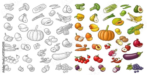 Set tropical fruits. Vector black vintage engraving isolated on white