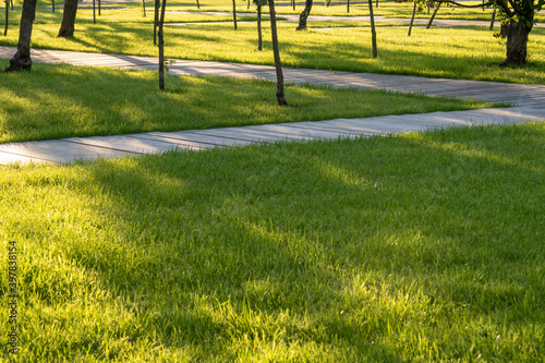 Wooden paths on green grass surface on warm sunny day. Summer season. Tree trunks in background.