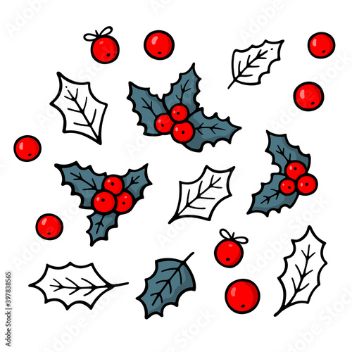Holly. Traditional Christmas symbol. Winter theme. Evergreen leaves with red berries. New year decoration plant. Sketch illustration for print, web, infographics isolated on white background