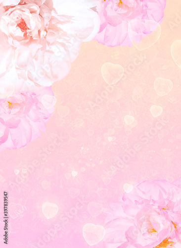 Beautiful peonies on a blurred background with bokeh effect. Valentine's day, birthday - concepts