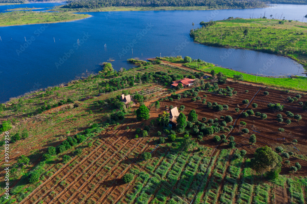 Ταπετσαρία Phnom Aural cardamom mountain Cambodia