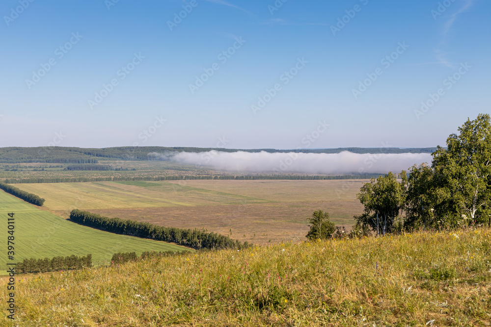 Beautiful view of green and yellow fields with white fog and trees is in summer in the morning