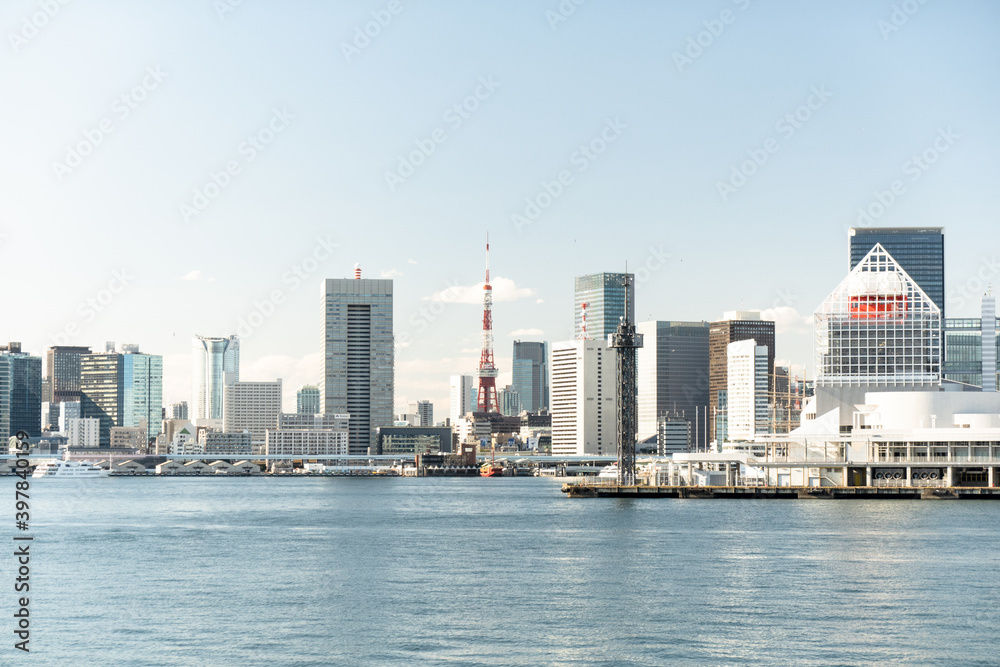 Obraz premium 東京湾景（東京タワー） from 豊洲(豊洲 江東区 東京都 2020/11)
