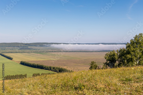 Beautiful view of green and yellow fields with white fog and trees is in summer in the morning