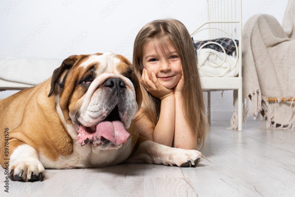 Fototapeta Two dreamy friends, a child and a dog, lie together in the room on the floor next to the bed and are swinging in the clouds. The English Bulldog is a purebred dog with a pedigree.