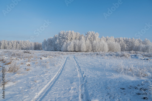road to the winter forest in the snow