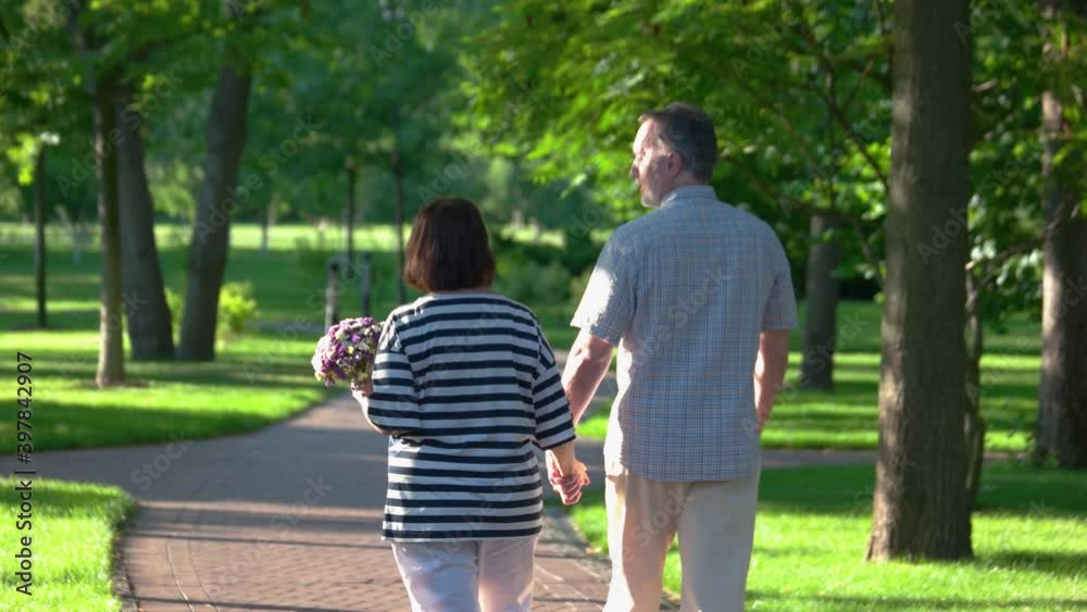 Senior couple on nature background, back view. Happy senior couple walking and enjoying life outdoors. Relationship and people concept. Senior couple on nature background, back view. Happy senior couple walking and enjoying life outdoors. Relationship and people concept.