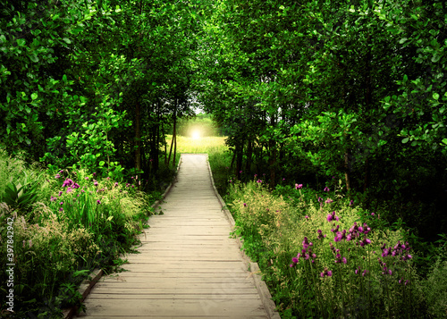 Wooden footpath and green plants tunnel leading to the gate with bright light at end. Dreamy landscape. © Fotema